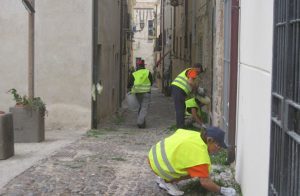 Cittadinanza Attiva 2026, lunedì 12 ottobre il primo incontro con i volontari per programmare le attività sul territorio