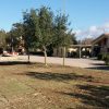 Alla A.S.D. Corallo Ruju il Campo di Sa Segada, in uso per 15 anni con interventi di riqualificazione per oltre 143 mila euro