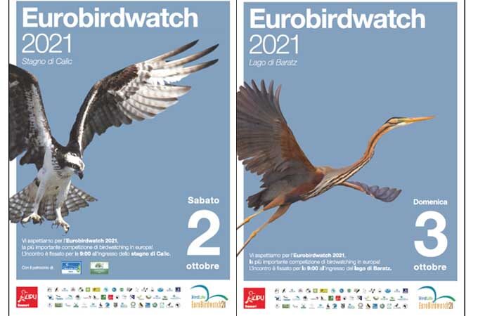 Nel weekend del 2 e 3 ottobre l’Eurobirdwatch anche ad Alghero, ci pensa la LIPU