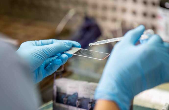 Pap test gratuito, al via le prenotazioni nei Comuni di Porto Torres, Sennori, Sorso e Stintino