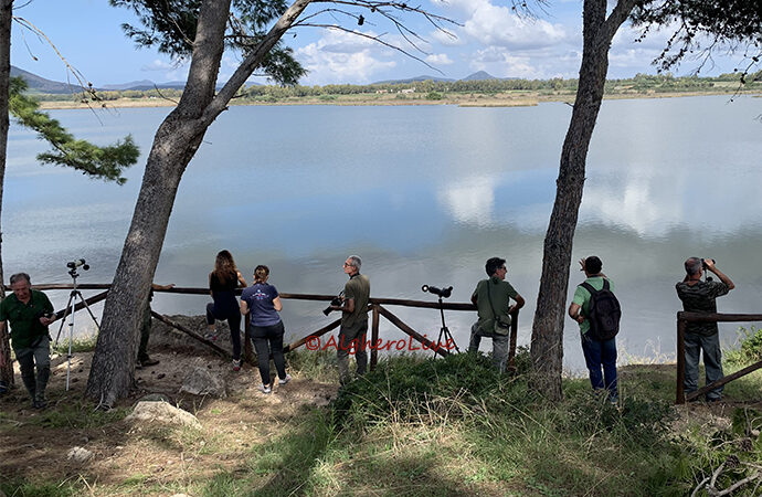 La laguna del Calich ha ospitato l’Eurobirdwatch, il Parco di Porto Conte ha sostenuto l’attività della  e LIPU