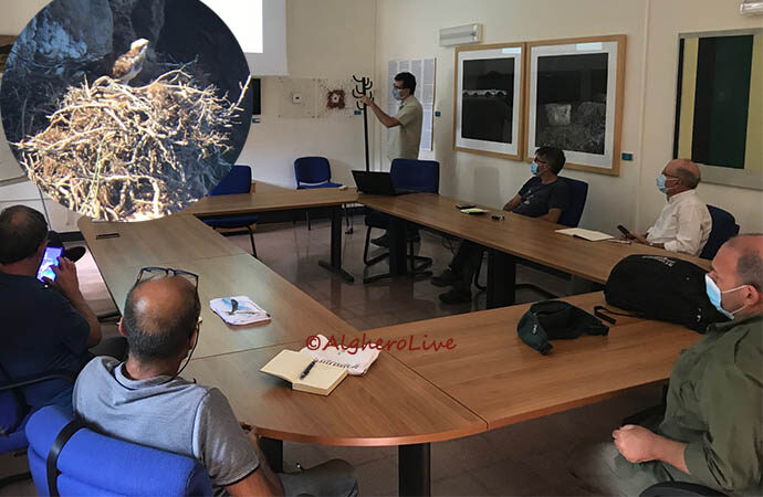 Falco pescatore, seconda stagione di nidificazione: tre nuovi piccoli si sono involati.  Non avveniva da mezzo secolo