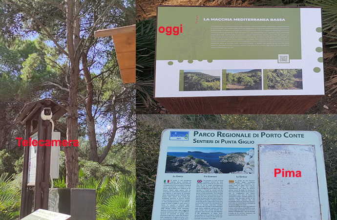 Comitato Punta Giglio Libera. Sei domande e un dubbio a  Direttore del Parco , Sindaco e Consiglio Regionale: deciso di abdicare?