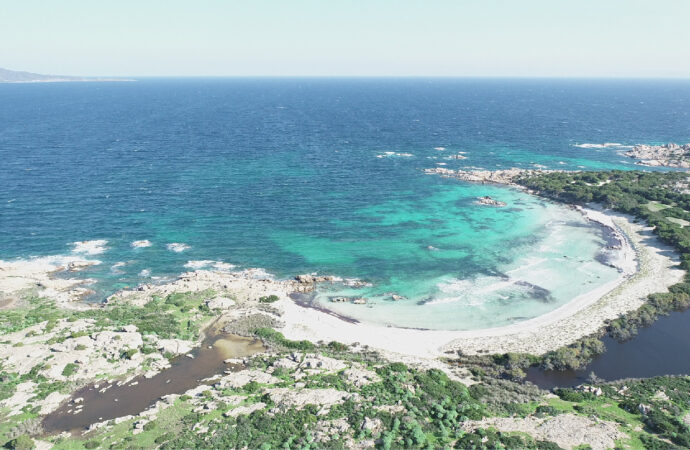 L’AMP Isola dell’Asinara organizza quattro corsi formativi sui temi del marketing turistico in chiave ambientale e sostenibile