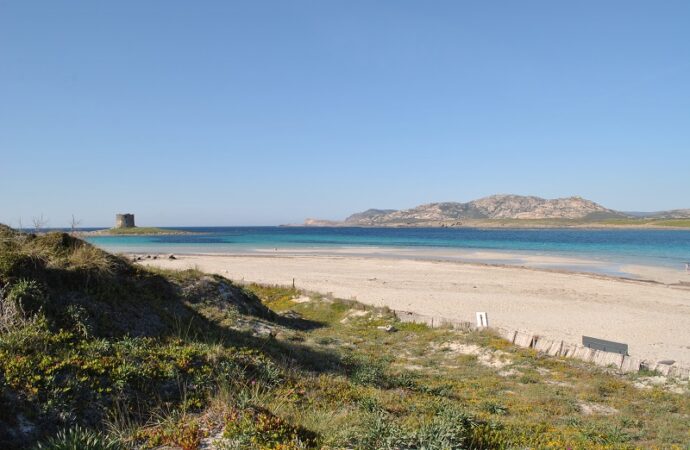 Stintino, da domani al via le prenotazioni per la Pelosa