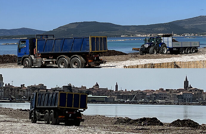 Partita la rimozione della Posidonia dall’arenile, a camionate depositata a San Giovanni