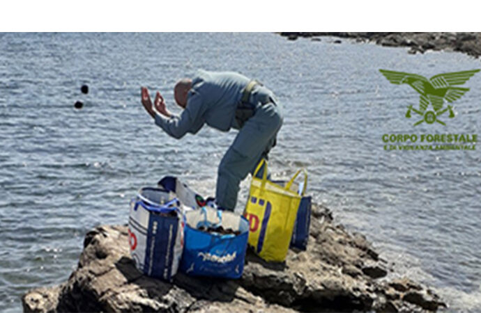 Il CFVA della Stazione forestale di Alghero ferma due pescatori di frodo con 2270 ricci appena raccolti nell’AMP