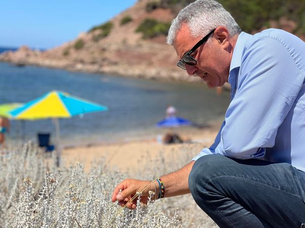 Il Sindaco Conoci nella spiaggia di Porticciolo accarezza le piante endemiche: “un ambiente bellissimo”
