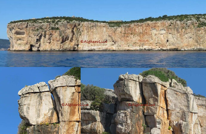 WWF Sardegna sulla Falesia di Punta Giglio: Si Trasformi l’Ordinanza di divieto da provvisoria in definitiva,  creando una zona A di massima protezione