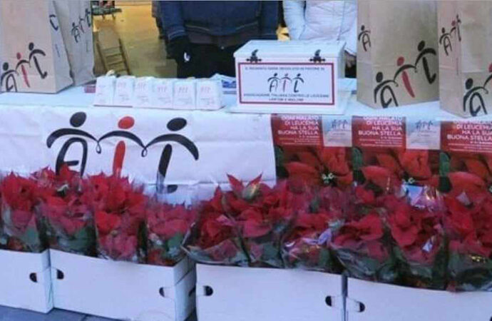 Ritornano ad Alghero le stelle di Natale AIL: gazebo in Piazza della Mercede