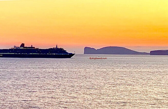 Foto notizia giusto per segnalare ogni tanto qualcosa di bello, oggi nel Golfo di Alghero