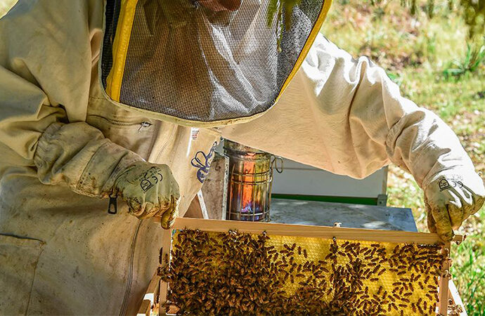 Alla scoperta della Sardegna con Mannos: un viaggio enogastronomico tra tradizione, innovazione e sostenibilità