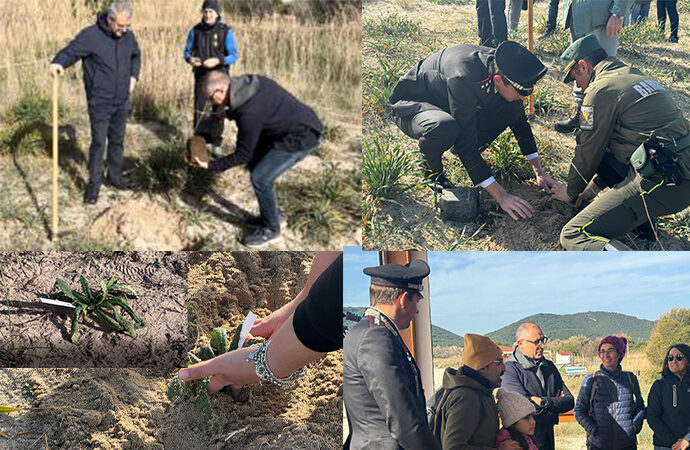 VIDEO – Anchusa Sardoa, grande partecipazione e collaborazione per l’evento sulla specie a rischio