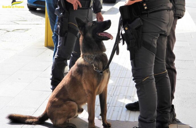 Le Fiamme Gialle di Cagliari hanno dato l’ultimo saluto a Demon, pastore belga specializzato nella ricerca di sostanze stupefacenti