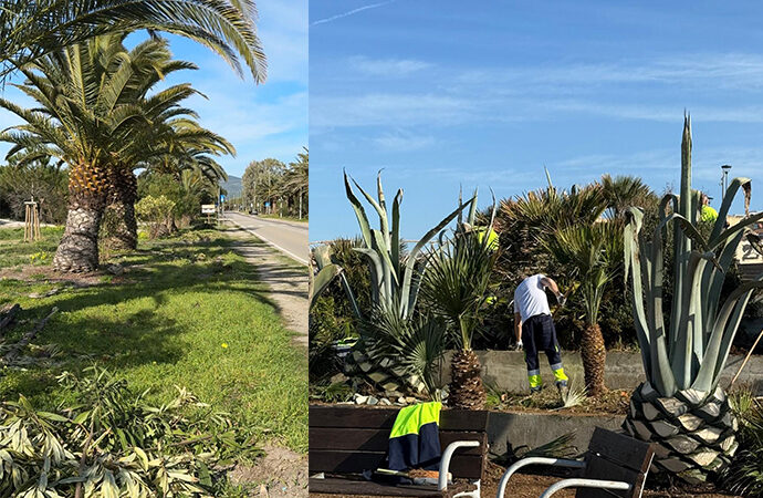 Decoro e pulizia al Trò e in Pineta, a lavoro venti unità lavorative per l’intervento straordinario