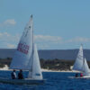 Vela, Trofeo San Marco 2026: a Fertilia si sfidano derive e vele latine