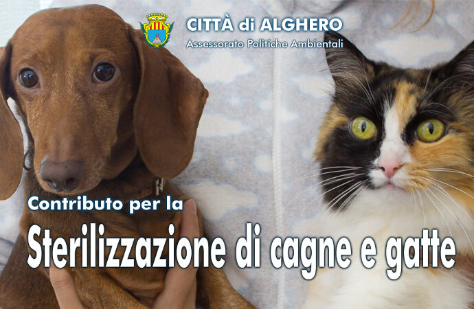 Sterilizzazioni per cagne e gatte, contributi disponibili. Domande entro il 28 luglio