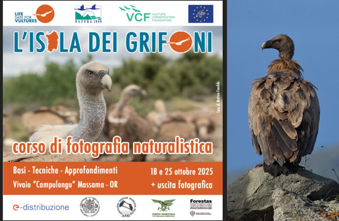 Fotografia naturalistica, in ottobre corso per professionisti e appassionati