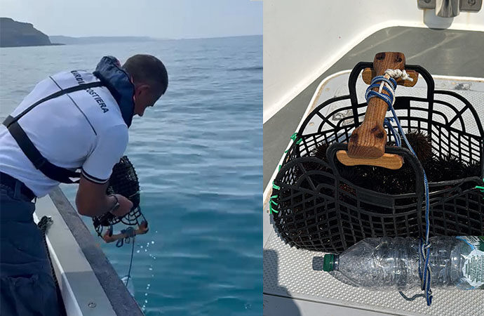 Pesca illegale  di ricci di mare a Bosa, intervento della Guardia Costiera
