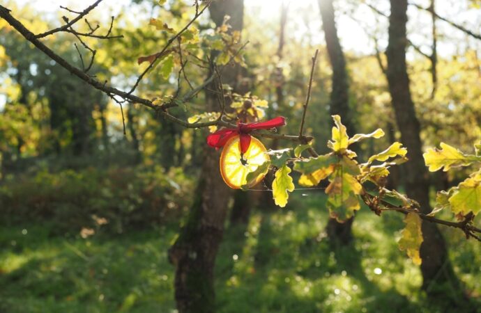 La magia di Halloween prende vita nel bosco di OCRA a Badu Canu