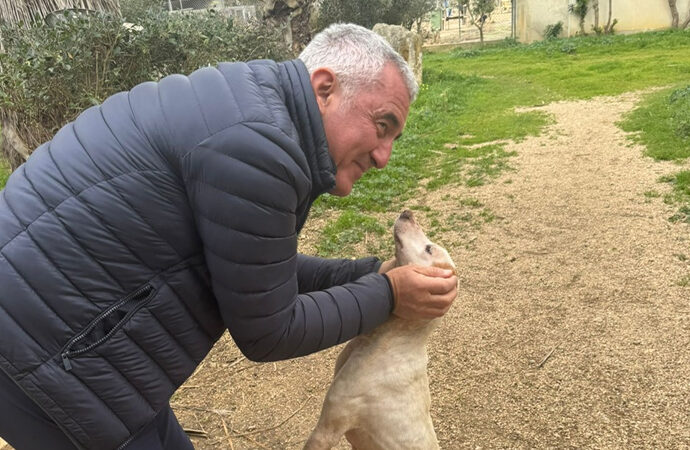 Canile di Alghero, l’ex Sindaco Conoci rompe gli indugi e chiede l’acquisto immediato: “Il Sindaco guidi la decisione”