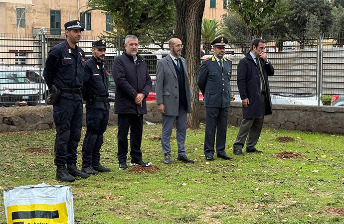Giornata Nazionale dell’Albero, il plesso “Maria Immacolata” dell’IC Alghero 2 protagonista: a dimora una talea dell’Albero per il Futuro” di Giovanni Falcone
