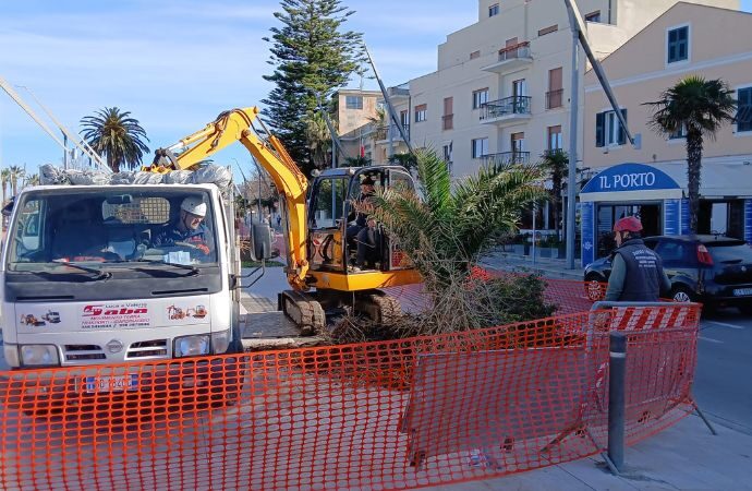 Tornano le palme sul Lungomare Barcellona, operai al lavoro da questa mattina