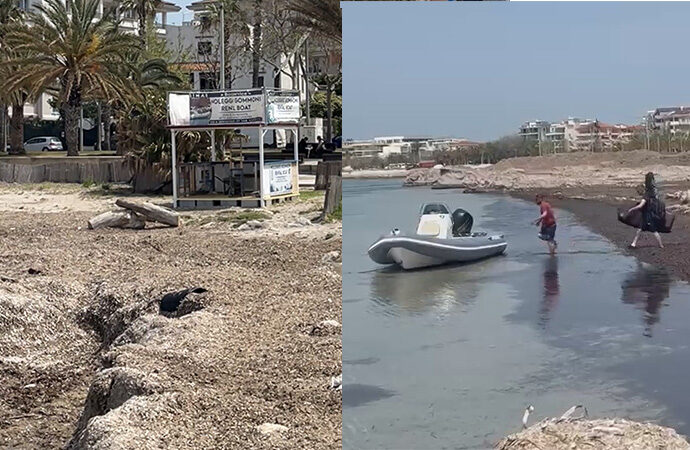 Posidonia spiaggiata. Amministrazione sorda alle richieste di sei giovani imprenditori con 25 dipendenti: “ci prepariamo a cessare le nostre attività