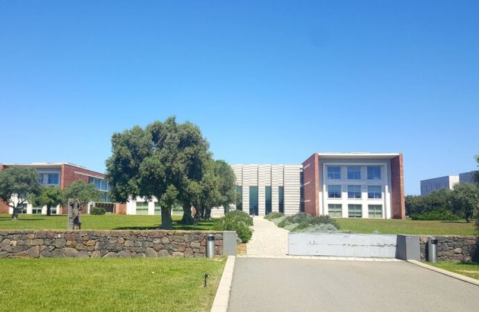 Vertenza Tiscali, oggi al Mimit la riunione richiesta dalle Regioni. L’assessora del Lavoro, Desirè Manca: “Non possiamo permetterci un nuovo bacino di disoccupati, chiediamo l’intervento dei due Ministeri coinvolti”