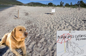 Ad Alghero nasce lo Sportello Amici degli Animali, passo avanti verso la città accogliente e attenta al benessere animale