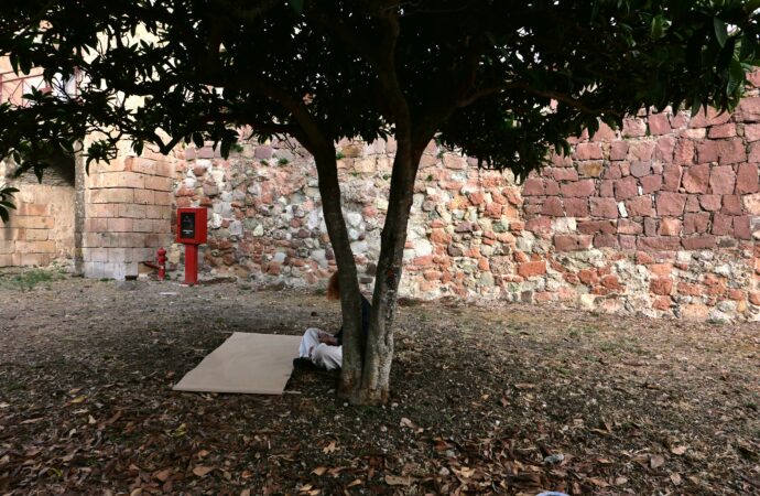 La Galleria CULT di Alghero ospita la manifestazione finale del  progetto “NOI ALBERI”, arti, natura e condivisione