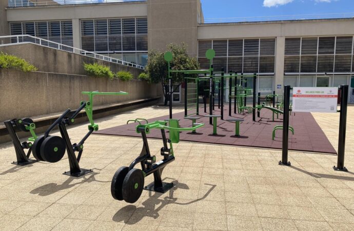 Dal 3 all’11 ottobre 2026, il Wellness Park Lab di Sardegna Ricerche, ospita un’esperienza dedicata al calisthenics