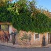 Mestieri, paesaggio e memoria: Oliena si racconta a Fonni