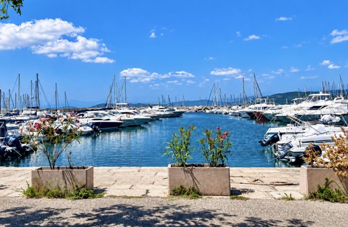 Porto di Alghero Caria (Riformatori): ai numeri della crescita devono seguire risultati concreti